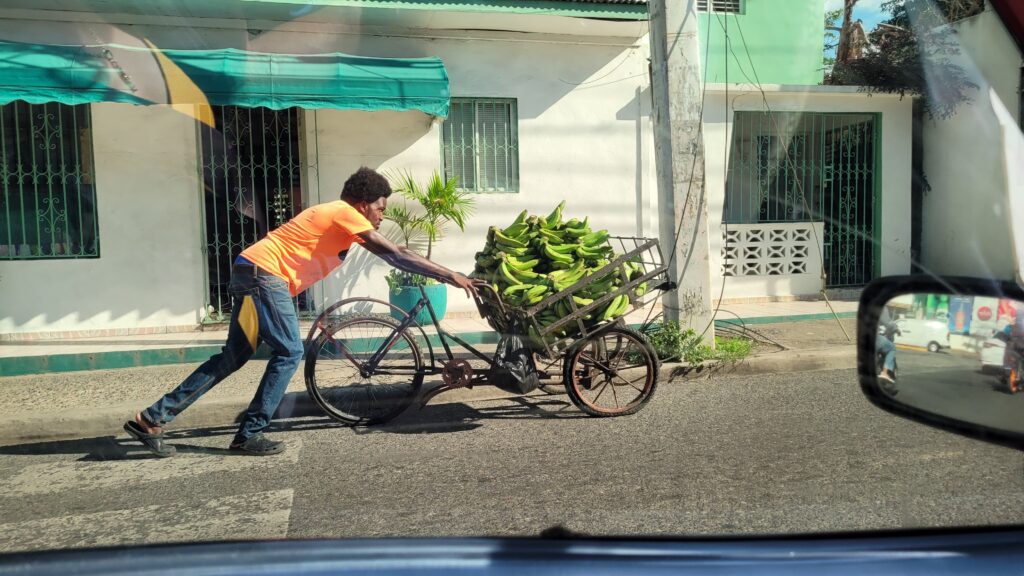 Plantain Seller La Romana