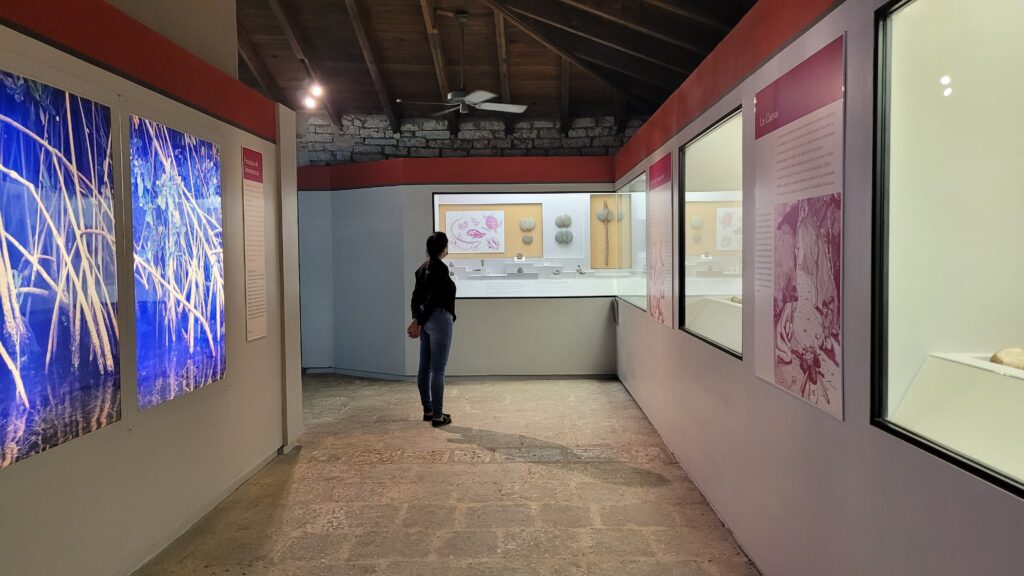 Altos de Chavon Museum